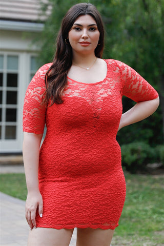Lace Mini Dress - FabulousFixx