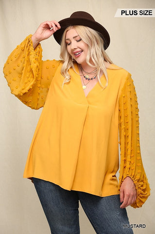Woven and Textured Chiffon Top with Voluminous Sheer Sleeves - FabulousFixx