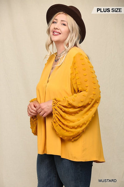Woven and Textured Chiffon Top with Voluminous Sheer Sleeves - FabulousFixx