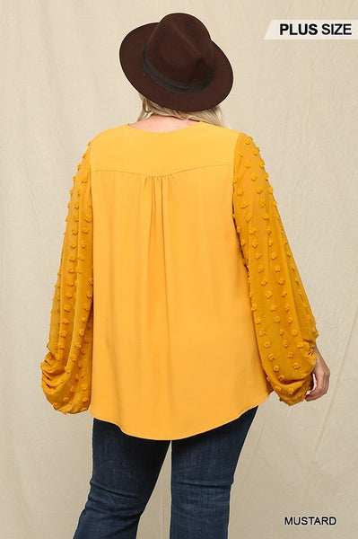 Woven and Textured Chiffon Top with Voluminous Sheer Sleeves - FabulousFixx